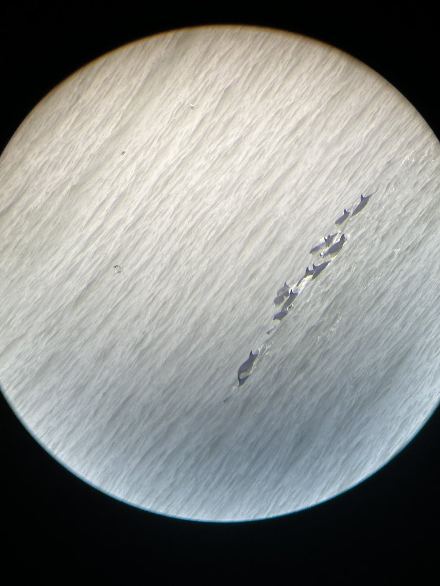 felipe aravena tweet media