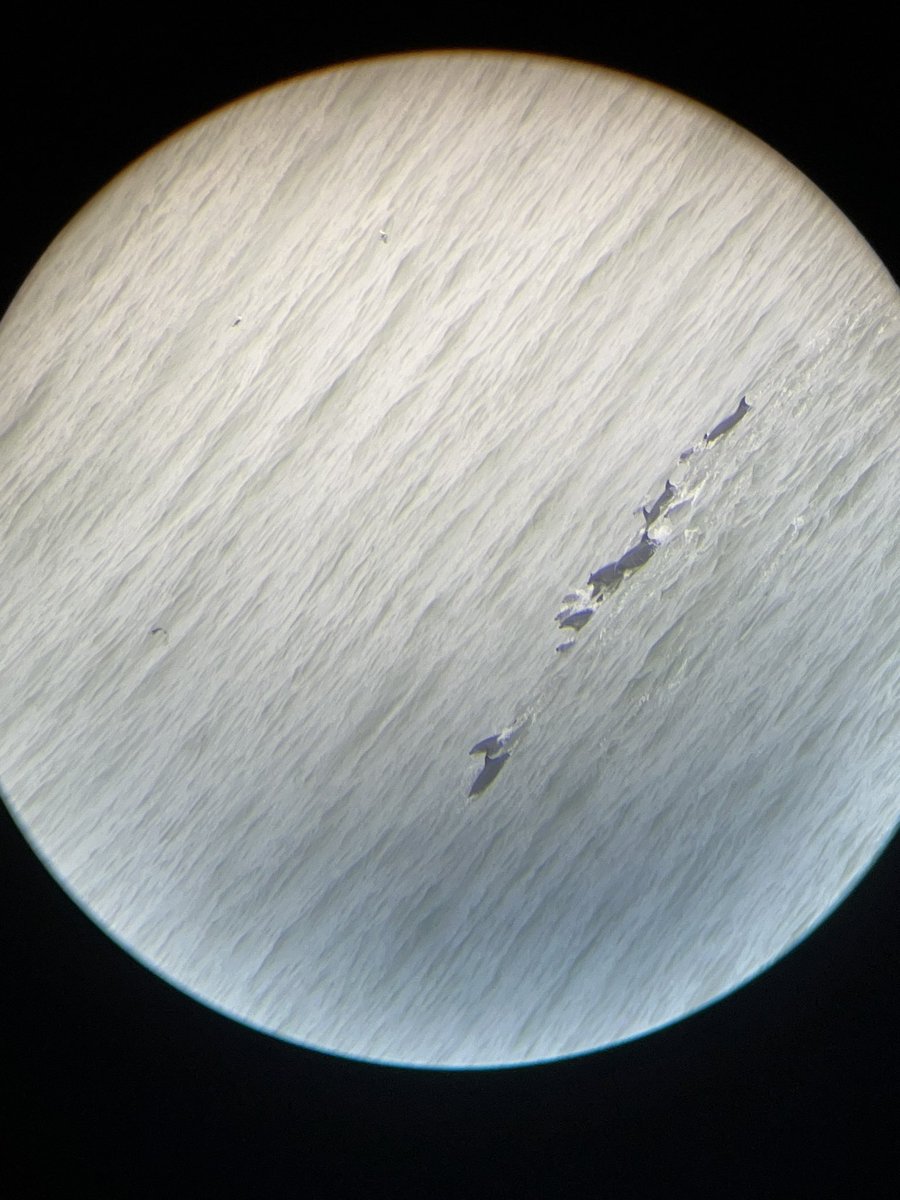 felipe aravena tweet media