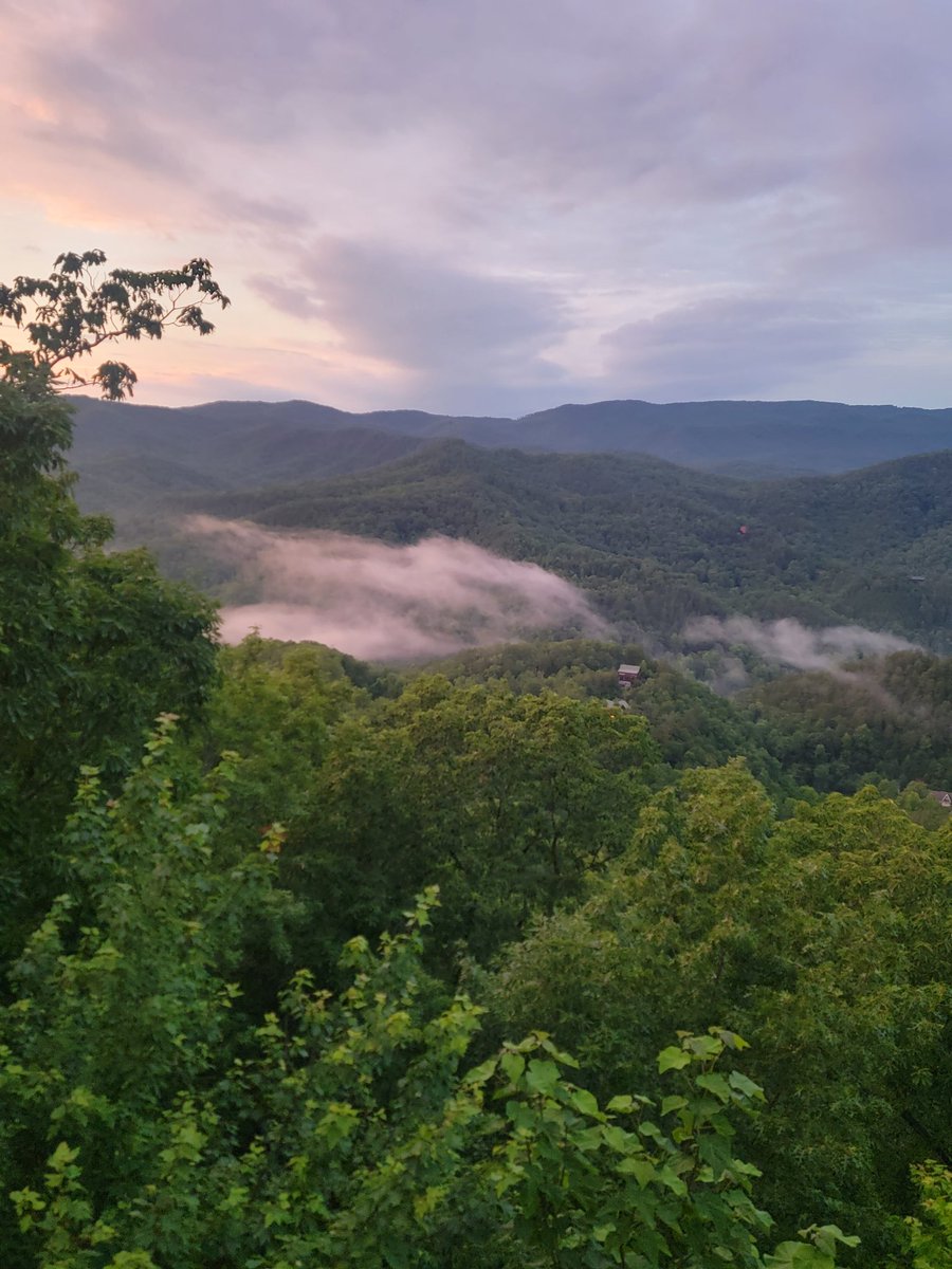 Rokcty's tweet photo. @VictorVVinner @Block141 Yeaaa we staying out of the town and going hiking. Have an insane cabin up at the top of a mountain 

View from cabin -> https://t.co/gB5Y2CUOmb