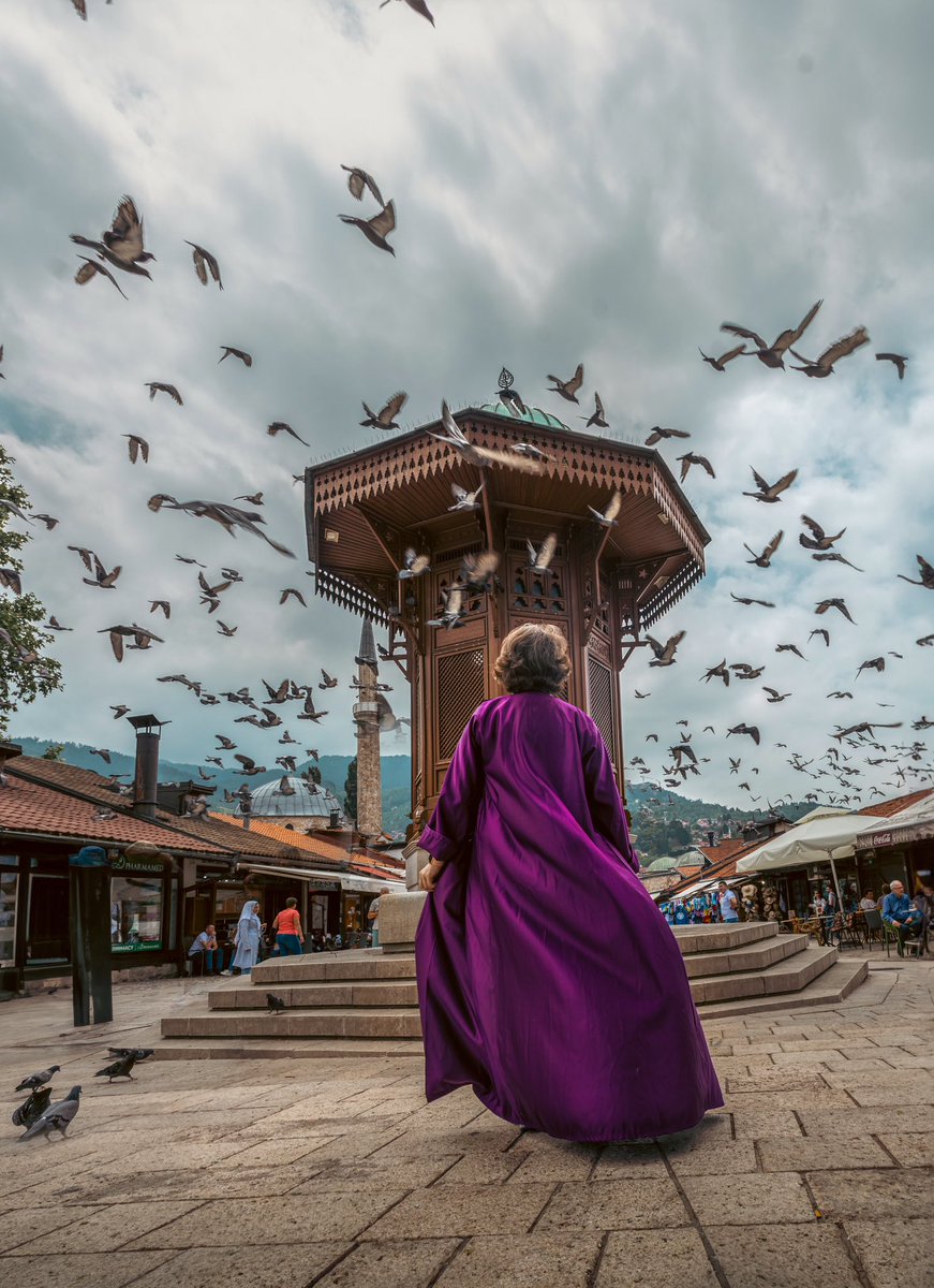 iqexplorations's tweet photo. My love for this city is endless! #Sarajevo, again I meet you.. please be kind to me this time 😬

#bosnia #bosniaandherzegovina #travel #travelblogger
#inbosnia 
#canonme #البوسنة #birds #سرايفو https://t.co/8lBufWCOnV