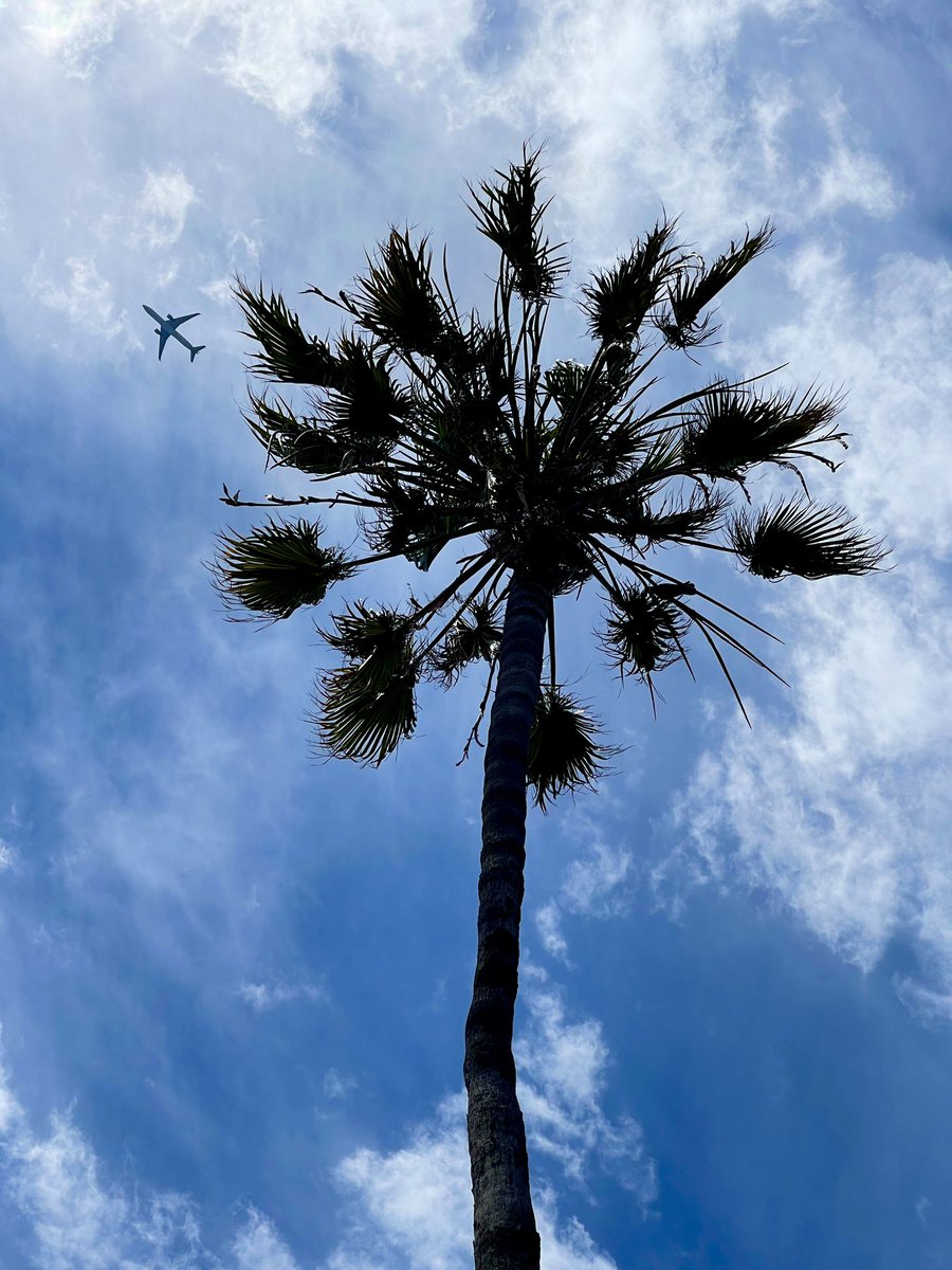 In coming tourists ;)

🌴✈️

#SantaMonica #LAX