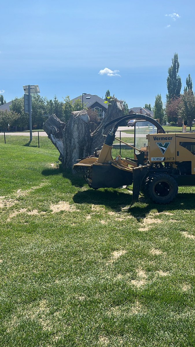 MartinCarringt3's tweet photo. Found a little stump in Calgary Elbow Springs Golf. Great day to be on a course. https://t.co/NP7bb6Tf2f
