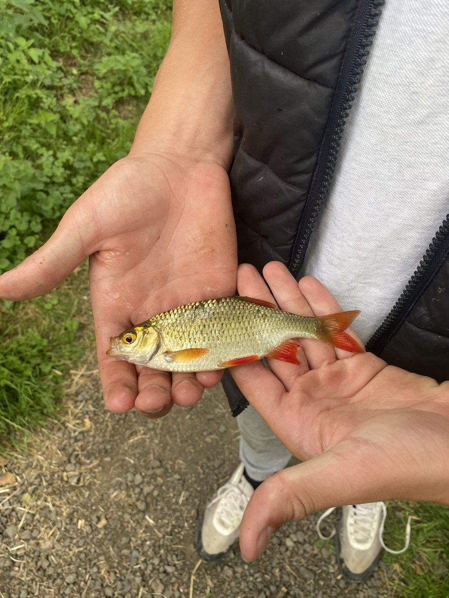 MissDewey4's tweet photo. We had the best day today with Let’s Go Fishing 

🎣 All students (and staff) caught a fish 
🎣 Some students were brave enough to hold their fish 
🎣 Some brave enough to give it a little smooch! 

Massive thank you to Ben and Darren for such a relaxing and enjoyable day 🐠 https://t.co/x7IO0tEuqP