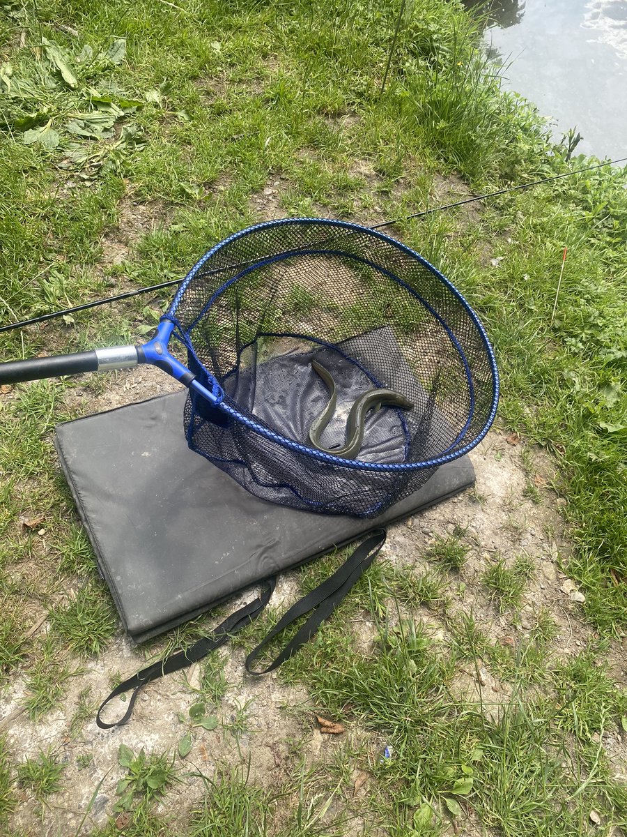 MissDewey4's tweet photo. We had the best day today with Let’s Go Fishing 

🎣 All students (and staff) caught a fish 
🎣 Some students were brave enough to hold their fish 
🎣 Some brave enough to give it a little smooch! 

Massive thank you to Ben and Darren for such a relaxing and enjoyable day 🐠 https://t.co/x7IO0tEuqP
