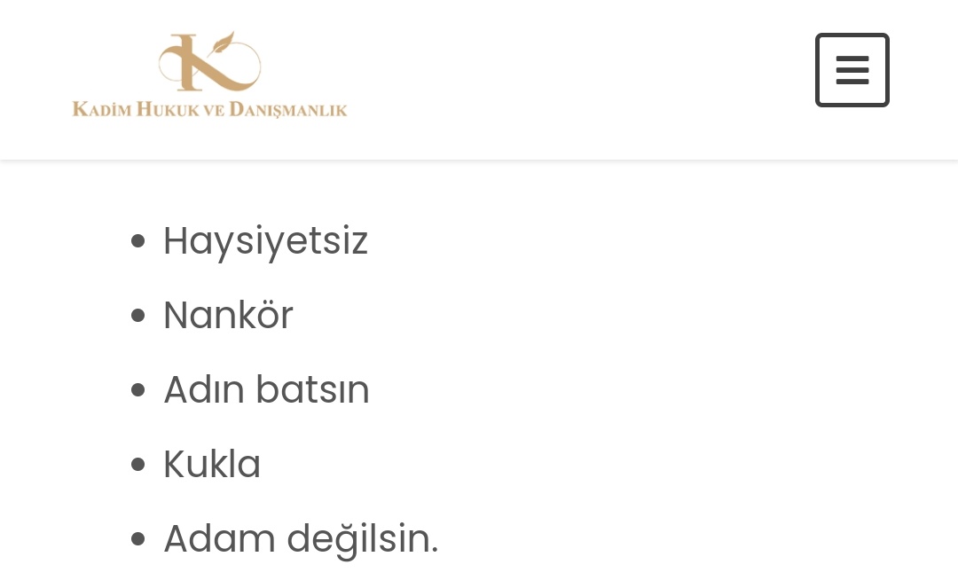 millihaberler_'s tweet photo. Adamlar hakaret suçu teşkil etmeyen hakaretleri listelemişler. Tarihin en büyük hizmeti amk https://t.co/zL5kexqEq8