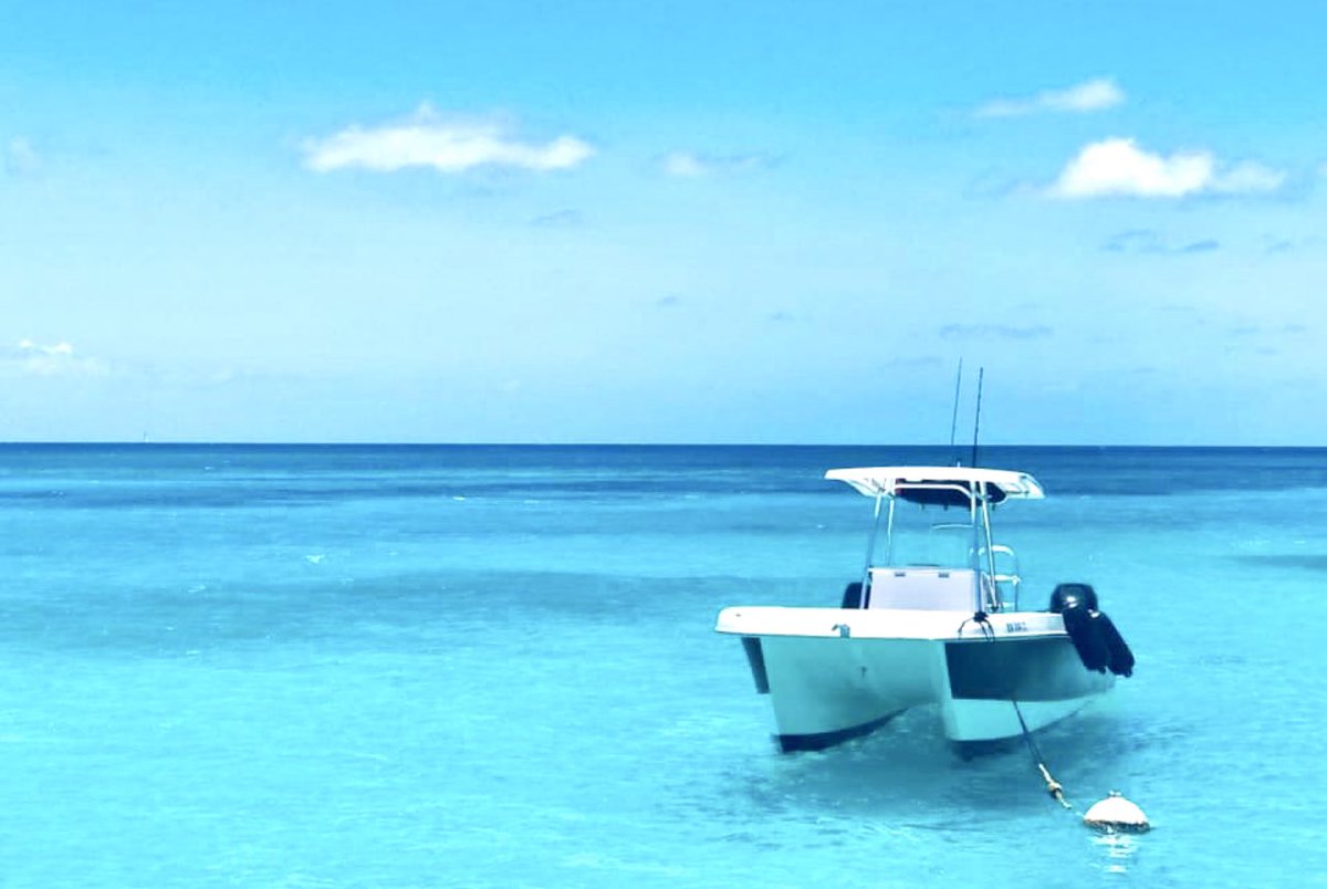 Let’s go Boating. Call today to be here tomorrow.