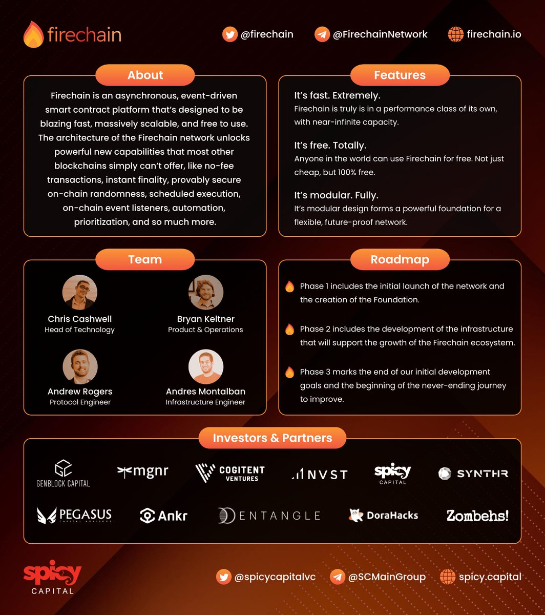 🔥Check out this overview of our incredible groundbreaking partner <a href="/firechain/">Firechain Network</a>🔥 

💥This project is a true gem, packed with unique and game changing concepts. We're ecstatic to support them on their journey to greatness. 

👀Get ready to witness something extraordinary!🚀