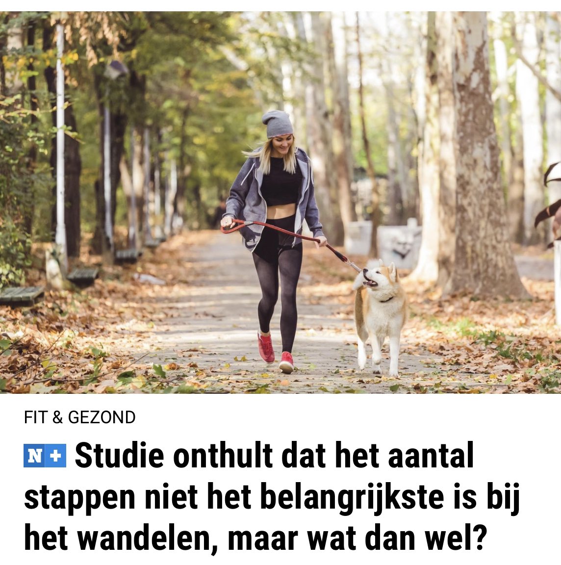 Jeroen Stragier tweet media
