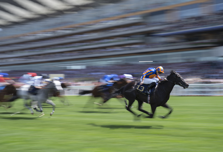 kevinblake2011's tweet image. Special Feature: British and Irish racing's speed addiction. 

This is the first of a three-part report that has taken six months to put together. There are numbers in here that will widen the eyes of the racing and bloodstock industries. RTs appreciated. attheraces.com/blogs/kevin-bl…