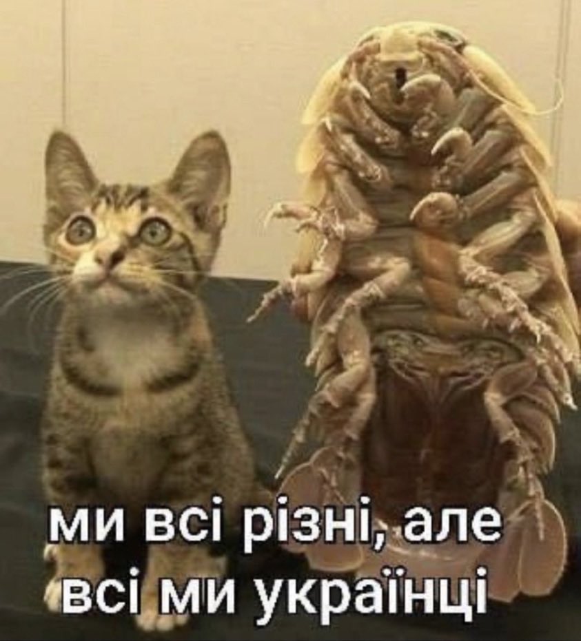 shodyvyshsia's tweet photo. Поділіться фондами, за якими ви слідкуєте??
бажано лінк на інсту, але буду вдячна і за назву. 

Рт будь ласка https://t.co/llHedgLXz6