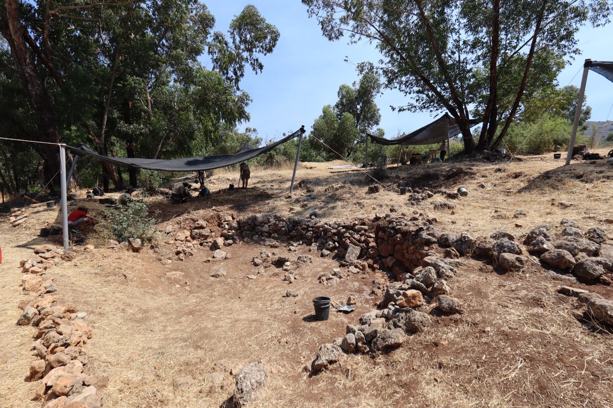 Eynan-Mallaha : Before/After cleaning a 15,000 years old house

⛏️⛏️First day of excavation⛏️⛏️

#Archaeology #Prehistory #Natufian #Excavation