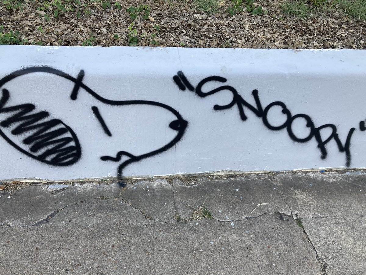 The snoopy tag I saw..