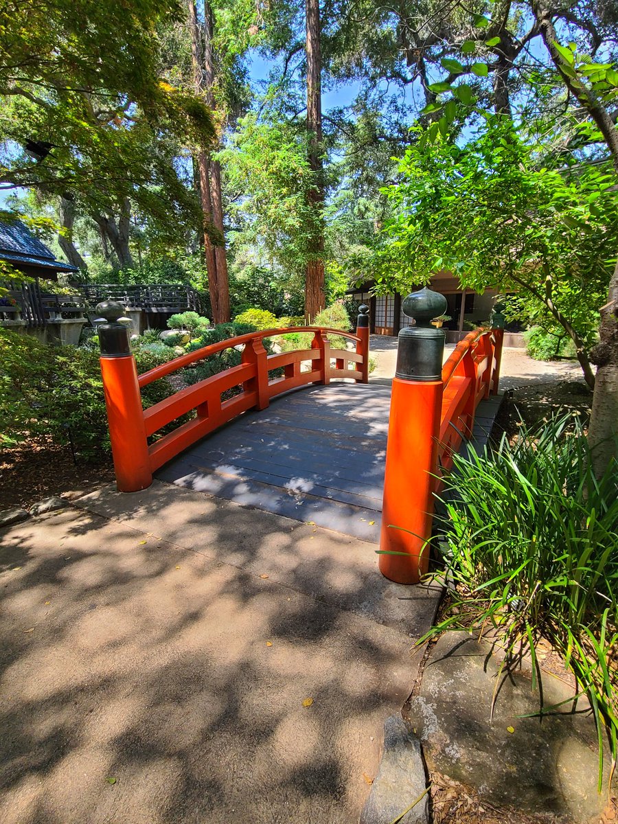 Hey photographers, share your favorite photos of June. 

Retweeting my favorites. 

Follow, Like, RT posts you like.