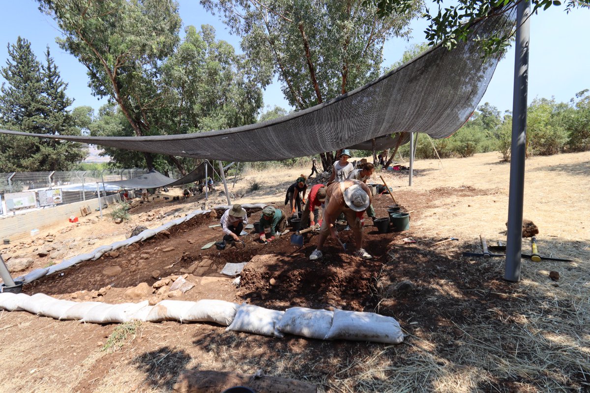 Eynan-Mallaha : opening new sectors!

⛏️⛏️First day of excavation⛏️⛏️

#Archaeology #Prehistory #Natufian #Excavation