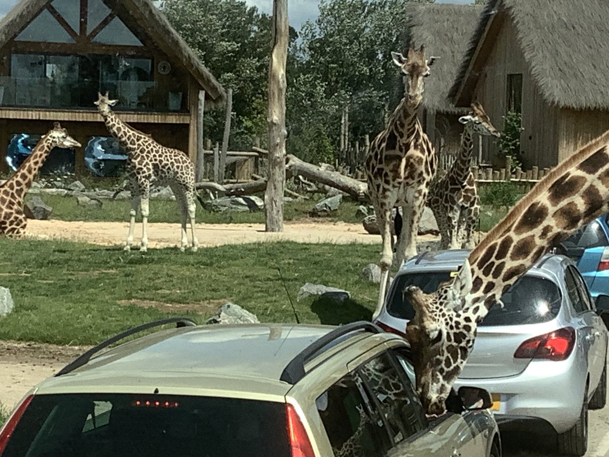Fantastic day at West Midlands Safari Park with @Main_MACS <a href="/macs_science/">MACS Science</a> <a href="/MacsLrc/">MACS LRC</a> Thank you to Miss J for organising such a great trip 👏🦏🦒