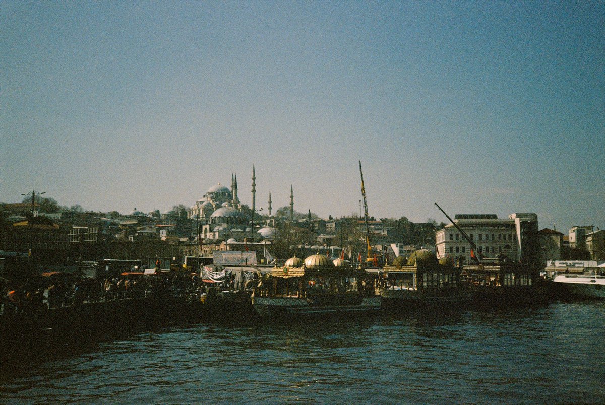 Tyler Stalman tweet media