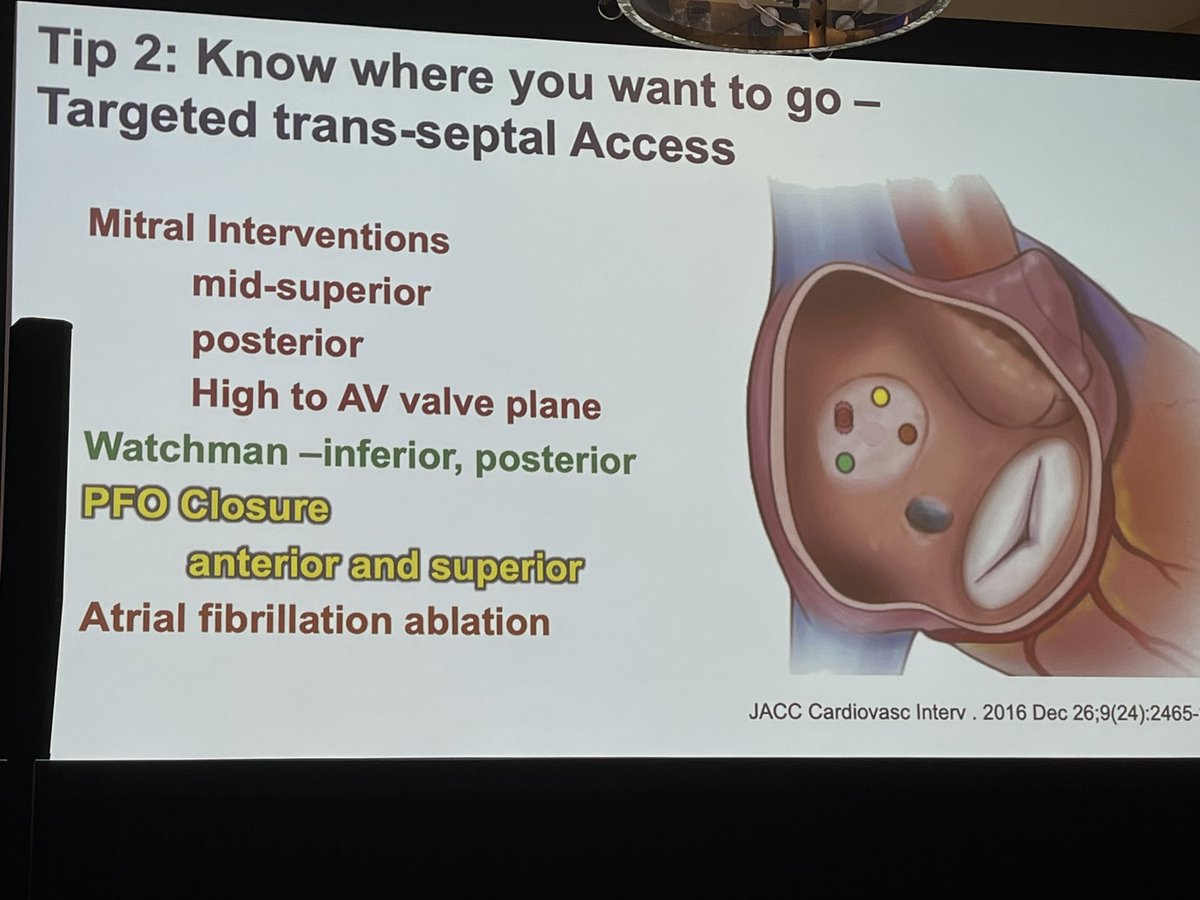 EGarciaSayan's tweet photo. Tips and tricks for trans septal puncture guidance by @renujain19 at #ASE2023. Know the anatomy and where you want to go, targeted TSP for specific device &amp; anatomy. Know basic 2D views &amp; 3D MPR. Know the technology. Know when to modify / adaptability. Know what can go wrong! https://t.co/cob0aGUPhk