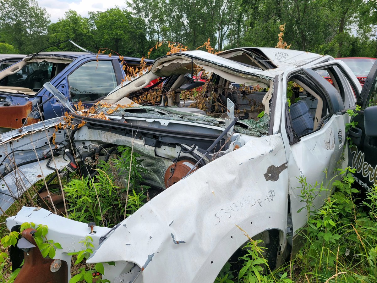 #junkyard #automotive #recycling #scrapyard #salvageyard #work #ohio #vehicles #family #garage #yard #fix #repair #replace #used #parts #reuse #sales #junk #auto #recycle #scrap #metal #salvage #ford #truck #outdoors #f150 #life #drive #outside #green #grow #summer #go #crash