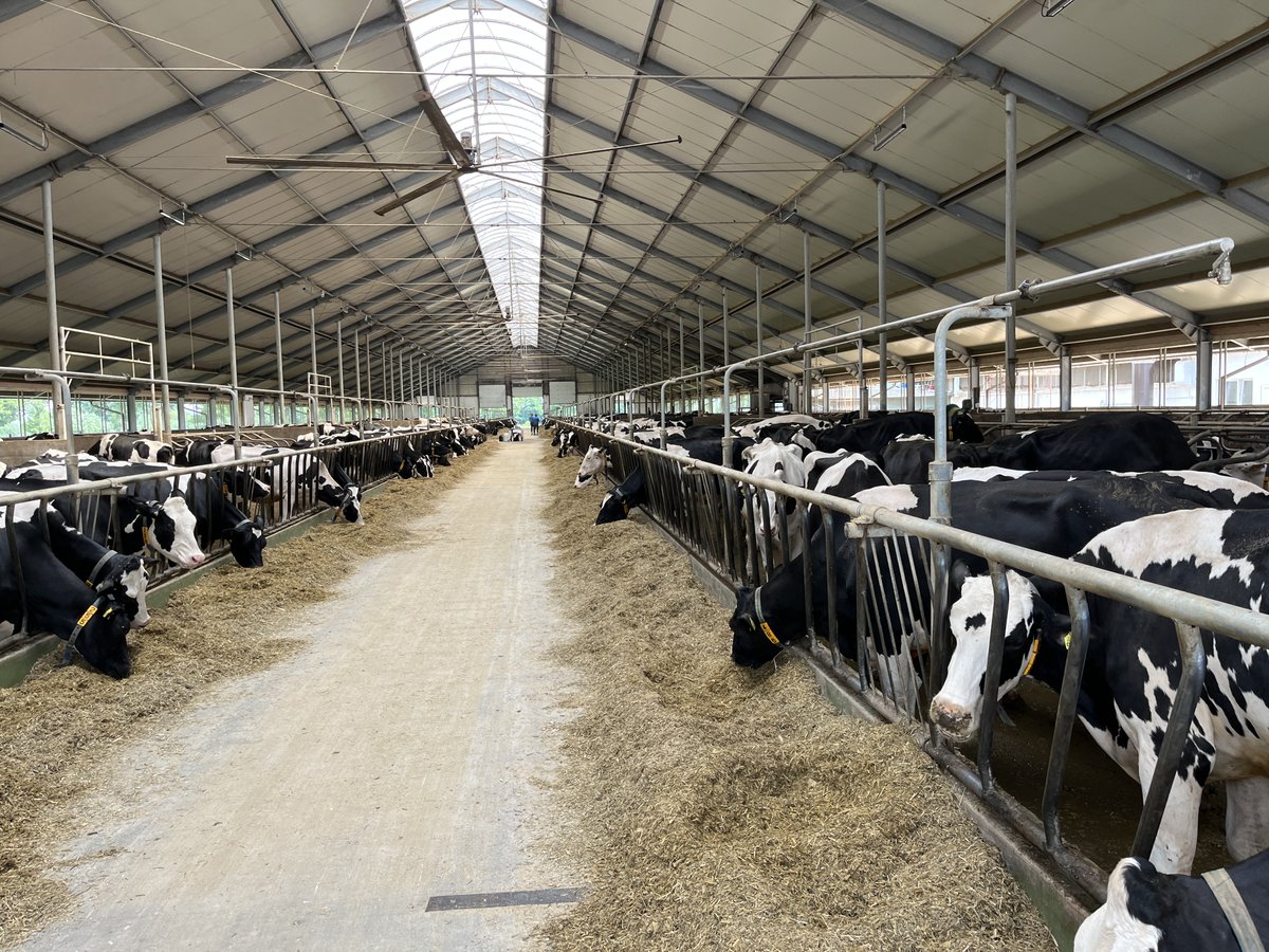 holsteingenetik's tweet photo. Múlt héten a WWS Global Dairy Solutions Workshop-on vettünk részt Malborkban, Lengyelországban. Köszönjük a szervezést a World Wide Sires, Ltd.-nek és a WWS Partner-nek a vendéglátást! #WWS #TechMix #CowManager https://t.co/M0Dis1aRzo