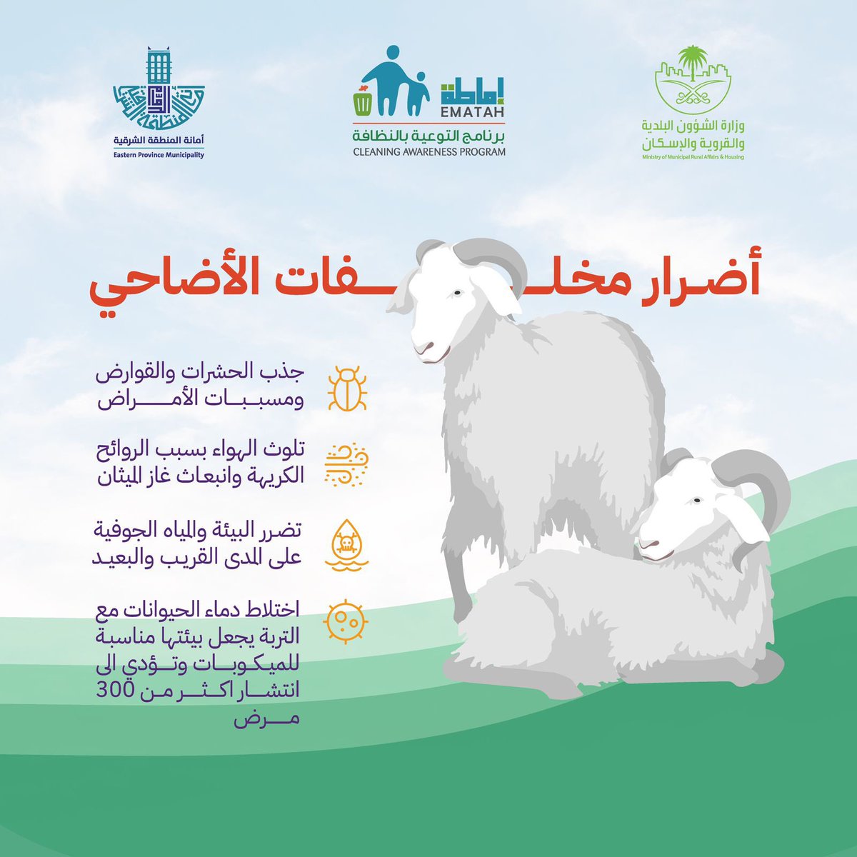 #برنامج_اماطة 
مخلفات الأضاحي لها أضرار كثيرة على الصحة العامة ونظافة البيئة ♻️