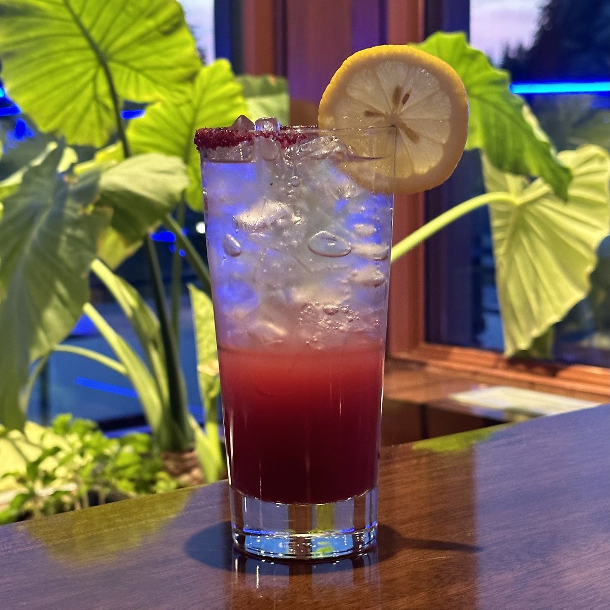 Did you know we have a Zero Proof section on our drink menu?

Order Hibiscus Lemonade to try it out!

#Hibiscus #Lemonade #HibiscusLemonade #ZeroProof #YEGdrinks #YEG