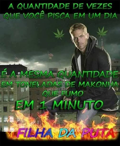 fun fact: sou uma das mentes pensantes que criou o paul walker maconheiro