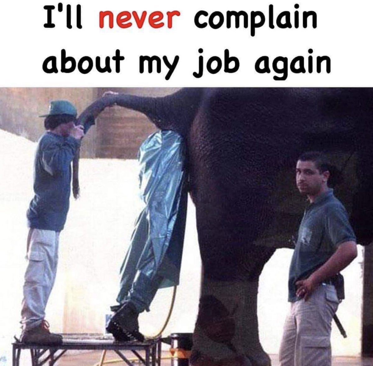 Rob Schneider 🇺🇸 tweet media