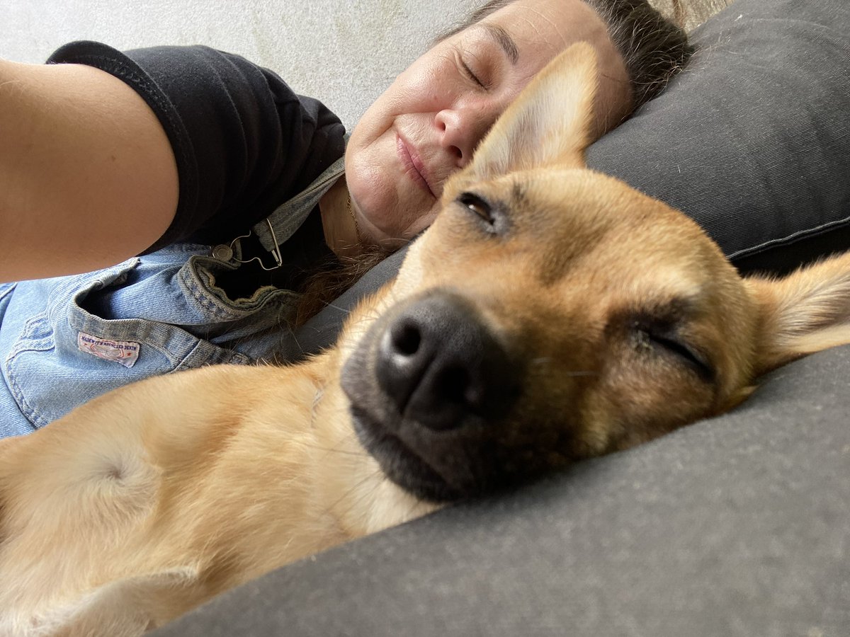 TheHappyLuza's tweet photo. No stream today. We are training Teo to be more chill during this time. But it looks like Ilka will join me tomorrow for @BoardAndDice #booksoftime! https://t.co/0lCwHZdmtW