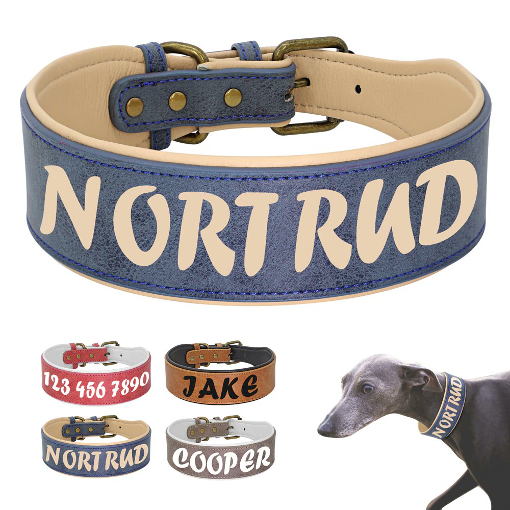 thepetdomain's tweet photo. Custom Dog Collar for your spoiled baby! #thepetdomain #pets #petsupplies #petstore #petlovers #dogs #MondayMotivation #MondayMood #dogsofinsta #dogsoftiktok #dogsofig https://t.co/fcJ8dLE75d