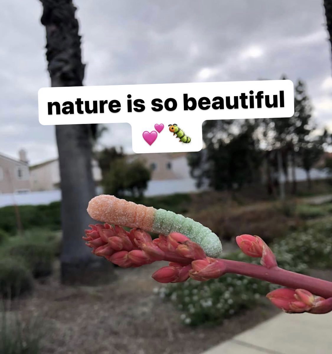 hourly_shitpost's tweet image. 