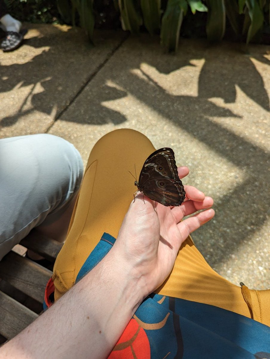 Between Two Gays tweet media