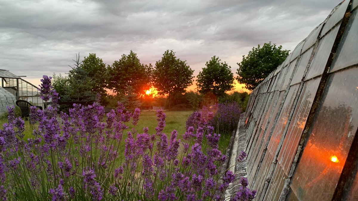 MedeleanuJulian's tweet photo. Summer in Overijse https://t.co/bMHgvmihrd