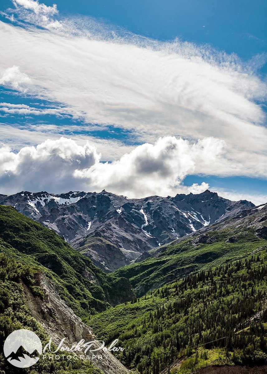 FrozenPhotographer tweet media