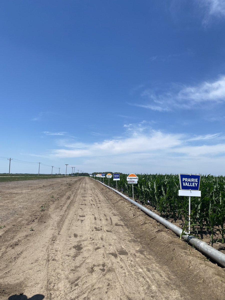 Plot sign day <a href="/PVseed/">Prairie Valley Seed</a> <a href="/NK_Nebraska/">NK Seeds Nebraska</a>  <a href="/BrevantseedsUS/">Brevant seeds U.S.</a> <a href="/AuroraAgNetwork/">Aurora Cooperative</a>