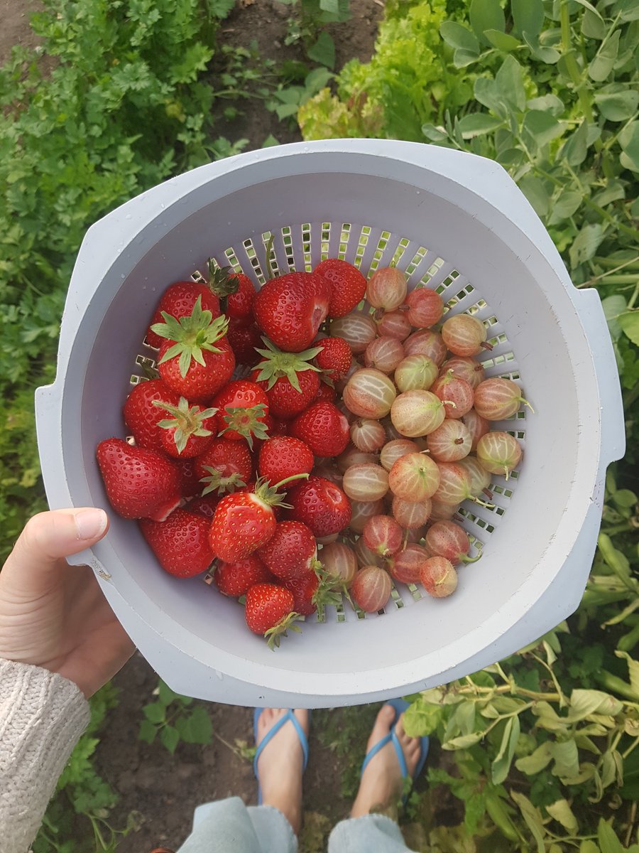 Jez Fredenburgh tweet media