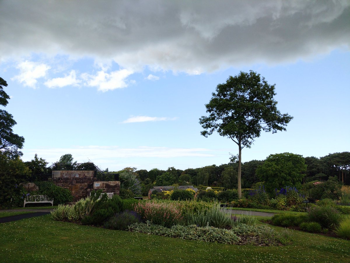 Stormy clouds over @Ness_Gardens today 😁