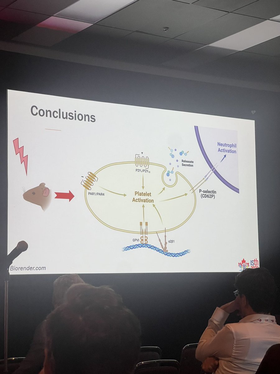 Susan Shea (@smshealab) on Twitter photo Super cool science presented by <a href="/EAndraska/">Elizabeth Andraska</a> at #ISTH2023 on the relationship of light and #immunothrombosis. Fascinating underlying biology and many implications for future therapeutic approaches! <a href="/macky_neal/">Matthew D. Neal, MD</a> <a href="/PittTTMRC/">Pitt Trauma & Transfusion Medicine Research Center</a> Super cool science presented by <a href="/EAndraska/">Elizabeth Andraska</a> at #ISTH2023 on the relationship of light and #immunothrombosis. Fascinating underlying biology and many implications for future therapeutic approaches! <a href="/macky_neal/">Matthew D. Neal, MD</a> <a href="/PittTTMRC/">Pitt Trauma & Transfusion Medicine Research Center</a>