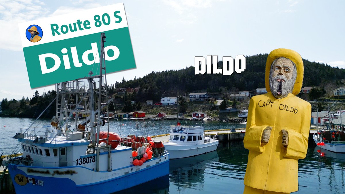 Come join me in Dildo. 
youtu.be/KLqcOe6TXKk