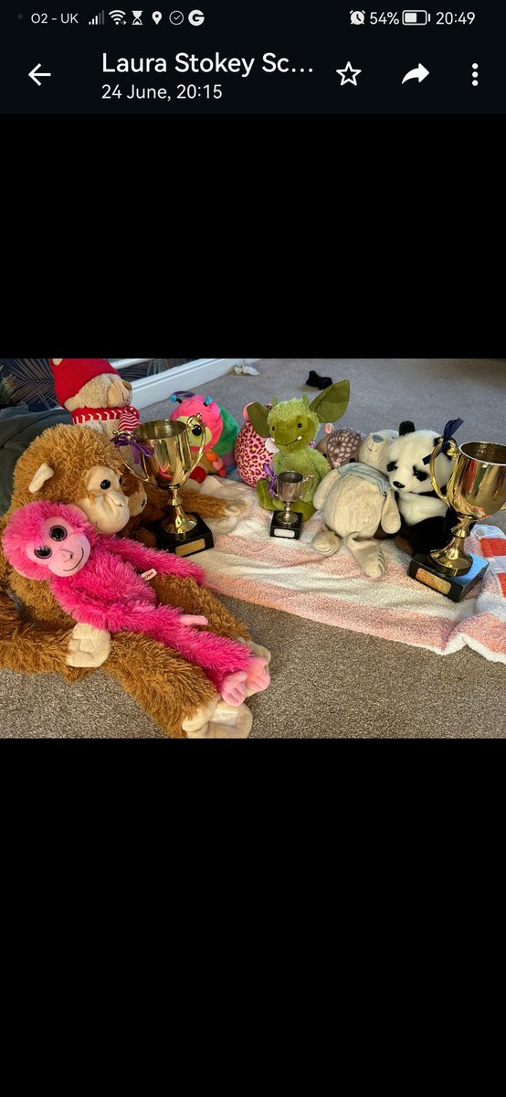 Preparations for the club Championships are well under way. Good to see that the Gala organiser has been polishing the trophies assisted by little helpers. #GoWilmslowScorpions