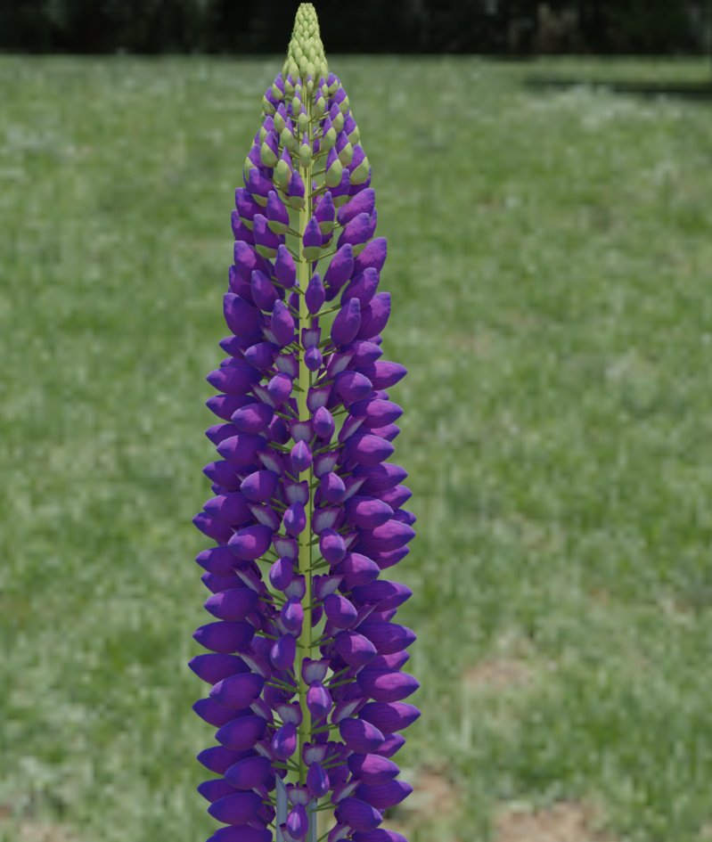 Lupine flower.  Work in progress #2. 

#b3d #3dart #blender #flower #digitalart #3dmodeling  #blendercommunity