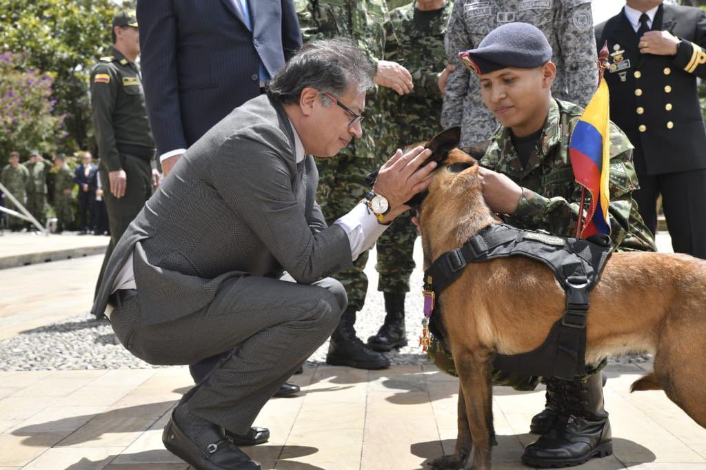 Hoy no solo entregamos un reconocimiento a los seres humanos tras la #OperaciónEsperanza, también el Presidente @PetroGustavo le entregó una medalla a Drugia, madre del canino de búsqueda y rescate Wilson, que nos dio un Norte en la selva para encontrar a los cuatro menores de…