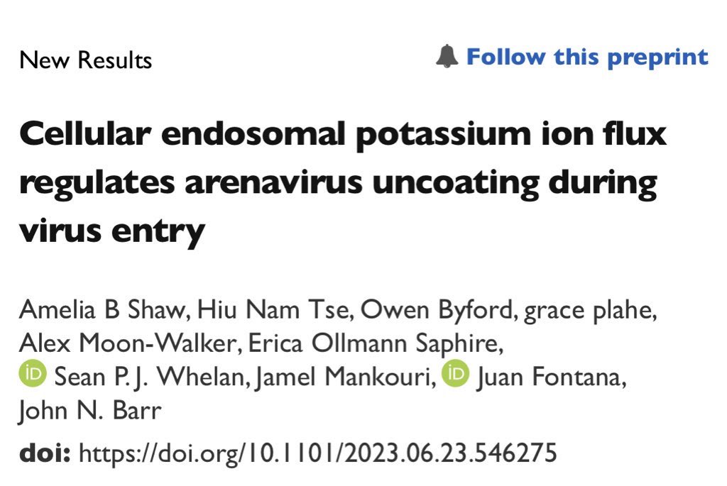 Barr Lab (@barrleeds) on Twitter photo Out today!! Our latest research describing a novel role for K+ ions as a third essential requirement for #arenavirus entry! Check out the paper here biorxiv.org/content/10.110… or come along to see <a href="/DrAmeliaBriony/">Amelia Shaw</a> talk at #ASV2023 tomorrow afternoon (W59-4)! 🦠 Out today!! Our latest research describing a novel role for K+ ions as a third essential requirement for #arenavirus entry! Check out the paper here biorxiv.org/content/10.110… or come along to see <a href="/DrAmeliaBriony/">Amelia Shaw</a> talk at #ASV2023 tomorrow afternoon (W59-4)! 🦠