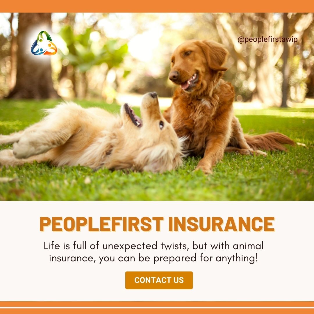 Whether it's a sudden injury or an unforeseen illness, having coverage for your beloved pup ensures they'll always receive the care they deserve. Invest in their well-being today! #AnimalInsurance #DogLover #HealthyHounds