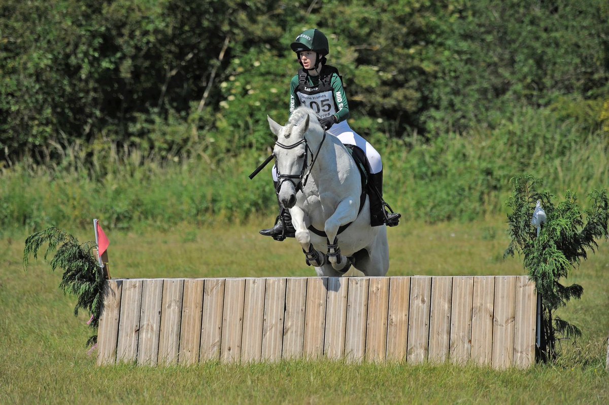 SofieHarper's tweet photo. Bella’s first one day event @midsypc this weekend. Individual 8th, team 3rd and qualified for the championships 🦄👏🤩 https://t.co/fNG8vxzTCF
