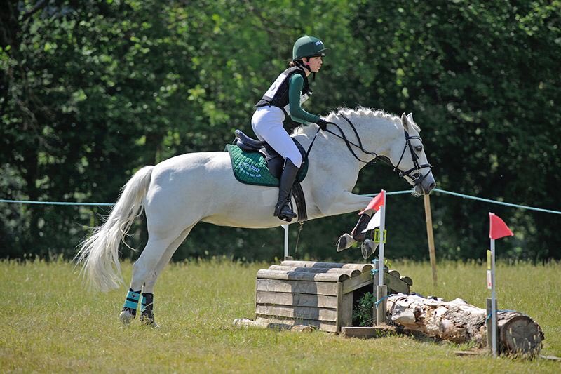 SofieHarper's tweet photo. Bella’s first one day event @midsypc this weekend. Individual 8th, team 3rd and qualified for the championships 🦄👏🤩 https://t.co/fNG8vxzTCF