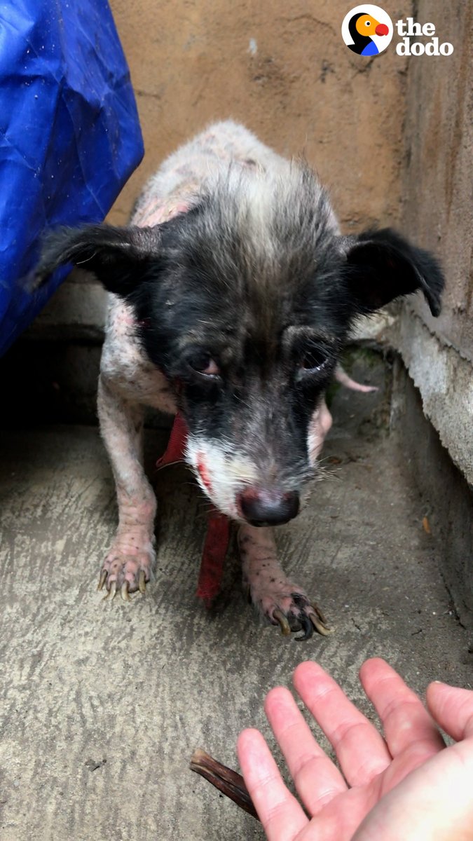 Scathed on Twitter: "“his willingness to love again” 😭😭😭🥹🥺😢😭😢😭🥺🥺"