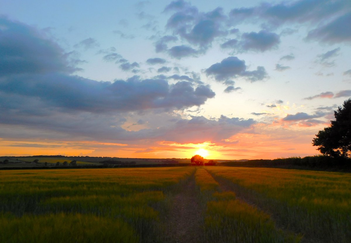 #sunset #barley #loveukweather #Lincolnshire