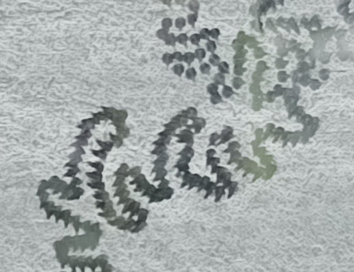 Menno Schilthuizen tweet media