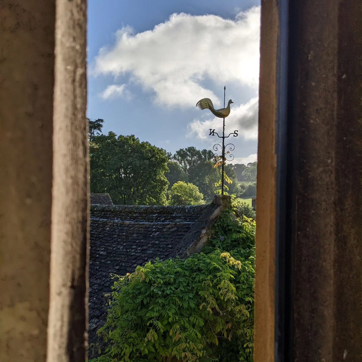 luceinthegarden's tweet photo. It was a magical week staying in the manor house, with pretty amazing bedroom views, and having the garden to ourselves in the evenings 😍 https://t.co/gRXuZwSywY