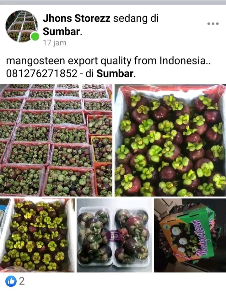 joni iskandar (@joni84799) on Twitter photo 
